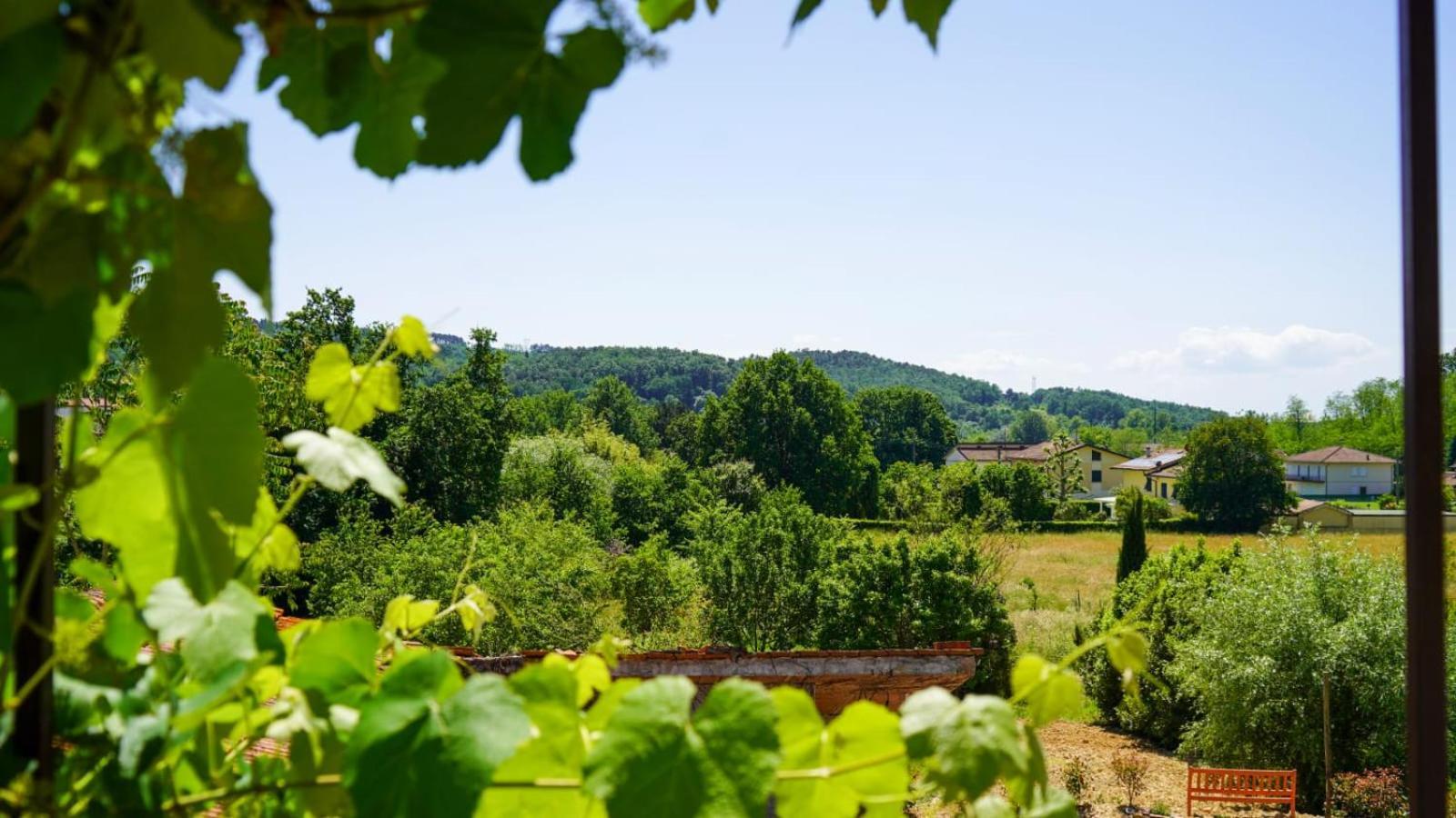 Wine House Bed & Breakfast Капанари Екстериор снимка