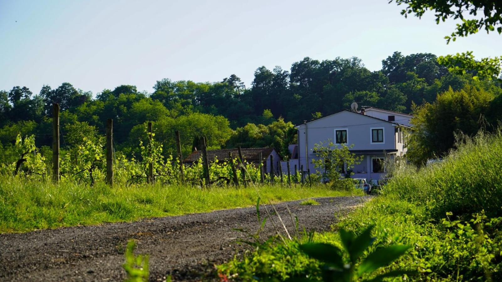 Wine House Bed & Breakfast Капанари Екстериор снимка