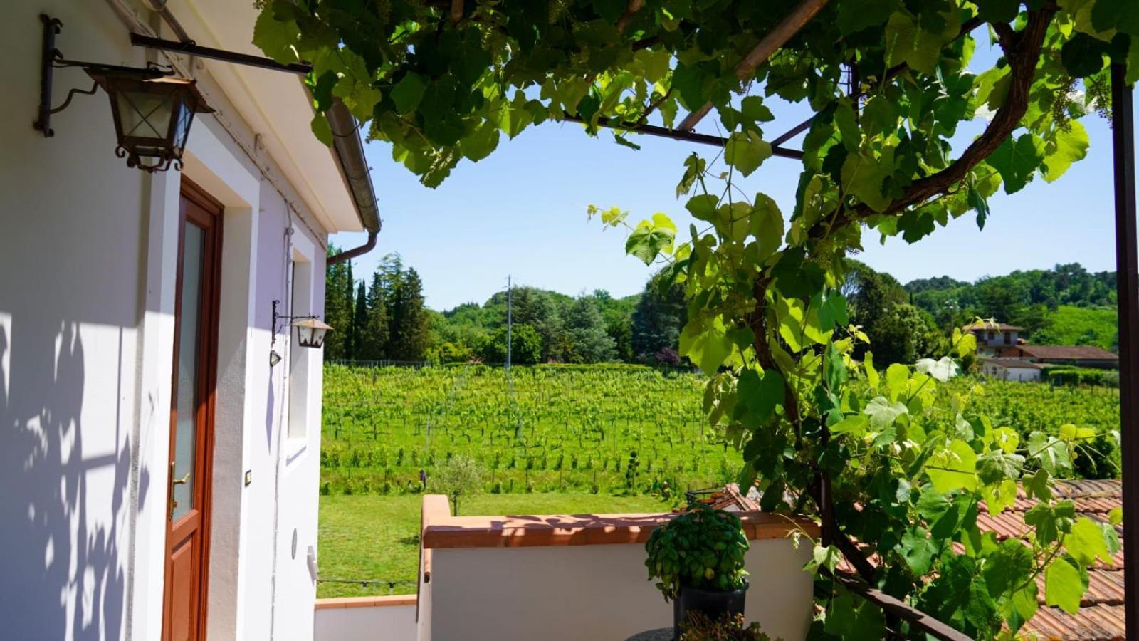 Wine House Bed & Breakfast Капанари Екстериор снимка