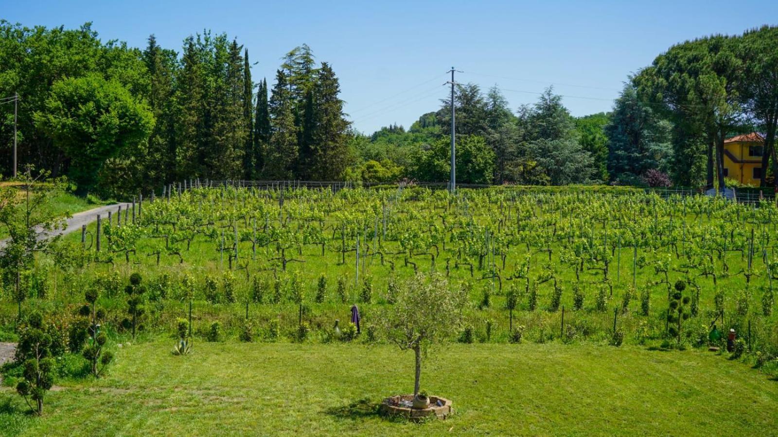 Wine House Bed & Breakfast Капанари Екстериор снимка