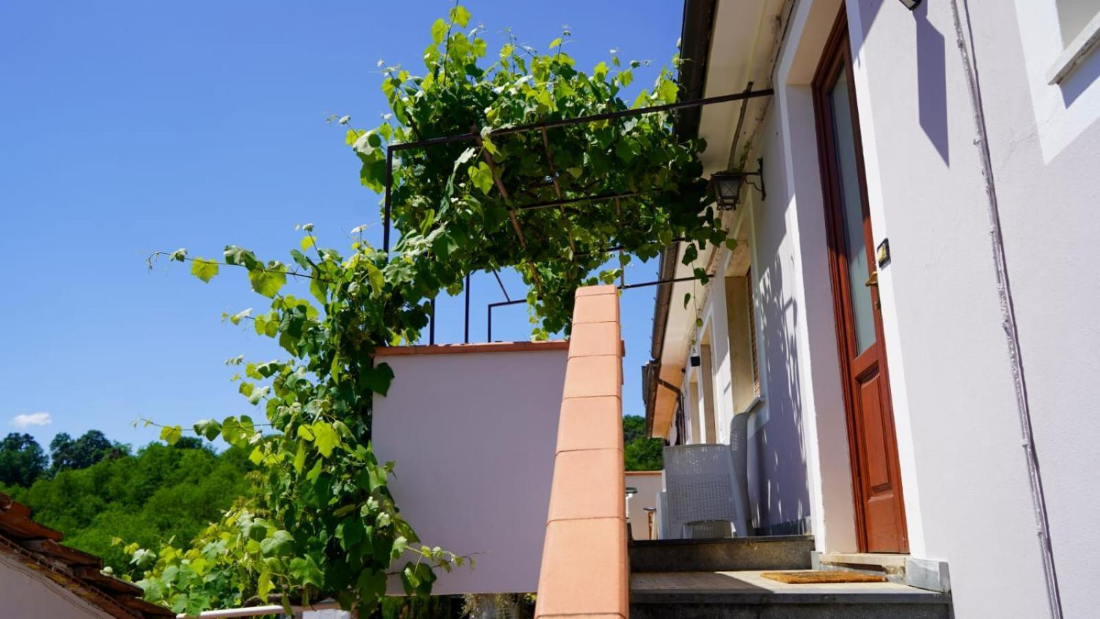 Wine House Bed & Breakfast Капанари Екстериор снимка