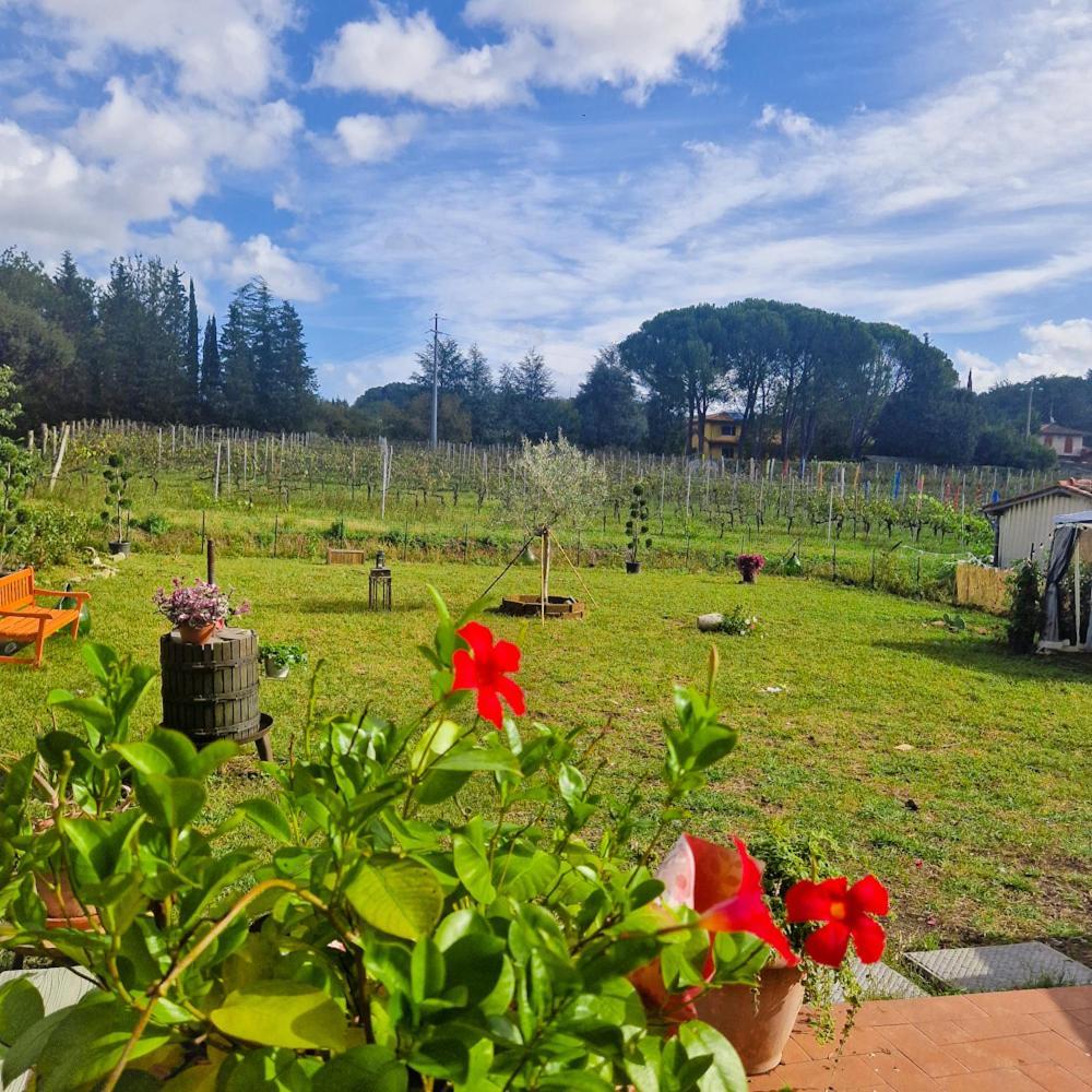 Wine House Bed & Breakfast Капанари Екстериор снимка