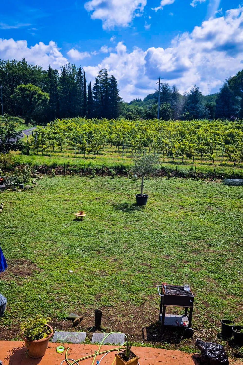 Wine House Bed & Breakfast Капанари Екстериор снимка