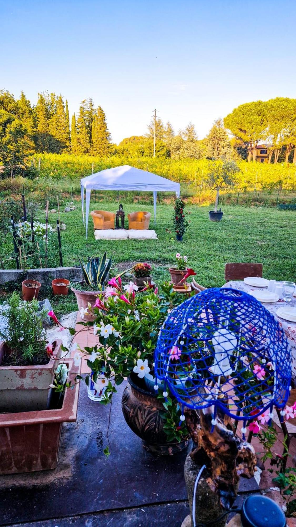 Wine House Bed & Breakfast Капанари Екстериор снимка