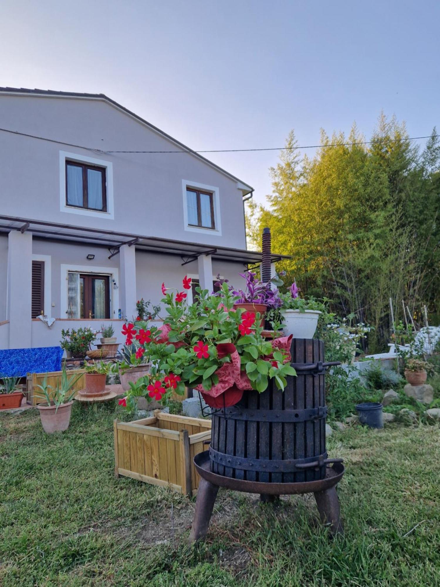 Wine House Bed & Breakfast Капанари Екстериор снимка